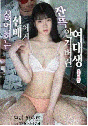 经典电视剧大明王朝1566剧照